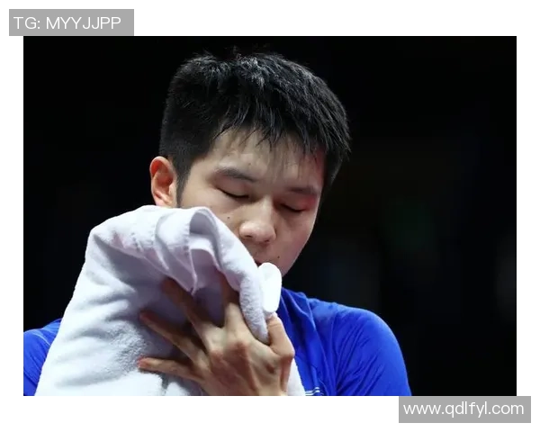 樊振东足球球星排名前十大揭秘这些球员如何在全球足坛占据一席之地